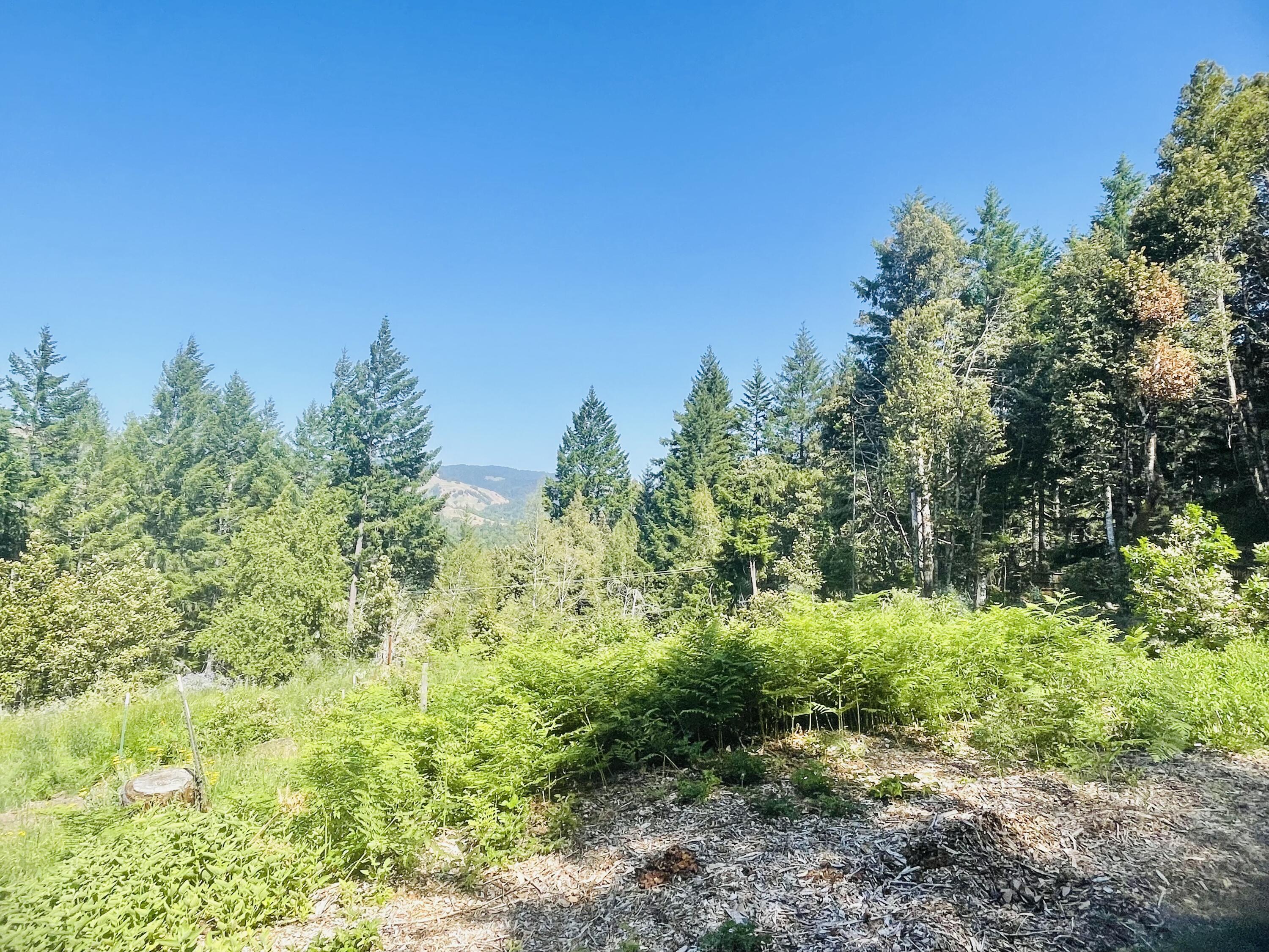 360 Graycliff Road Garberville, CA 95542 - Photo 57 of 63