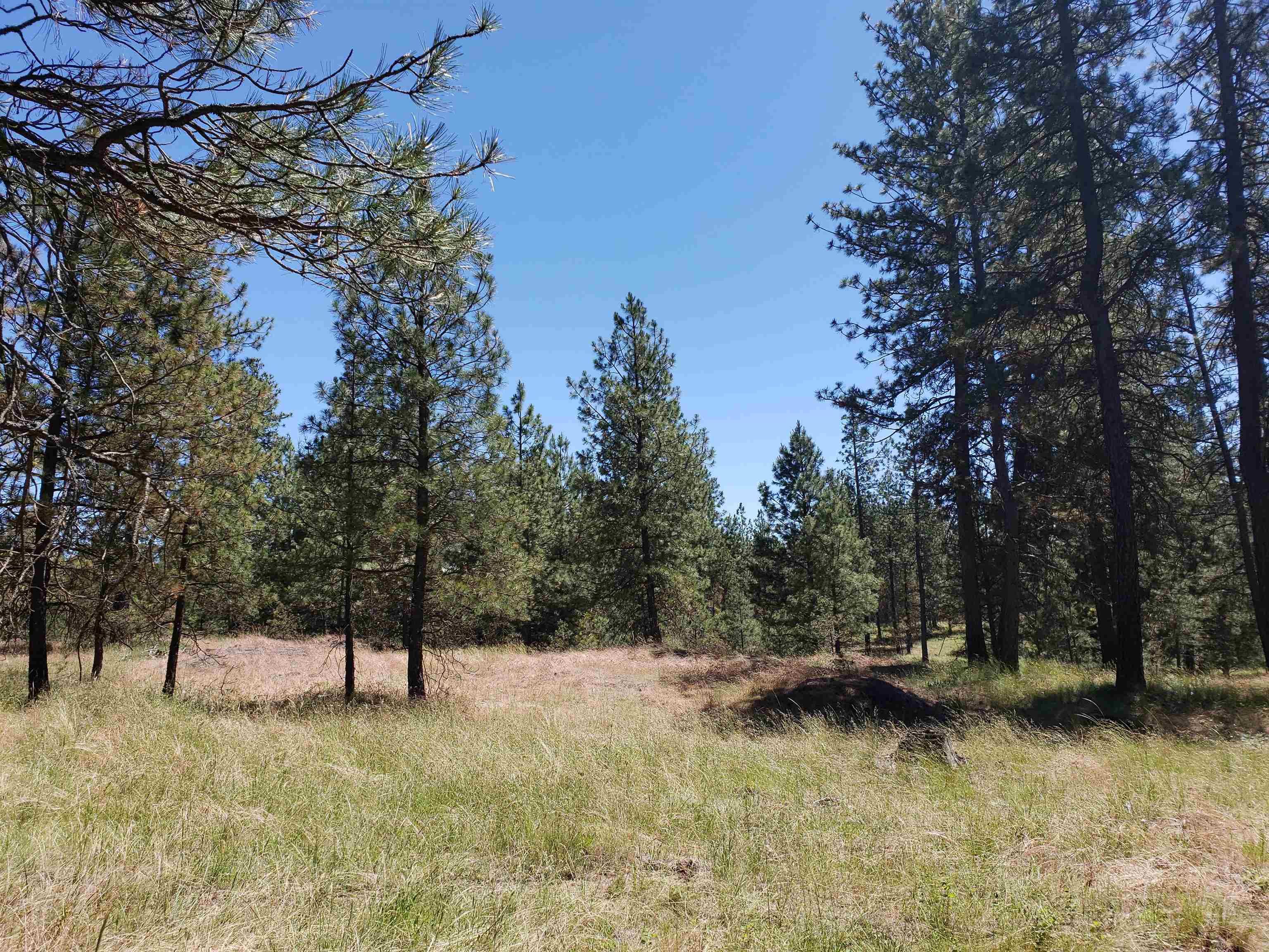 Xxxx West Baker Road, Unit LOT F Cheney, WA 99004 - Photo 1 of 4