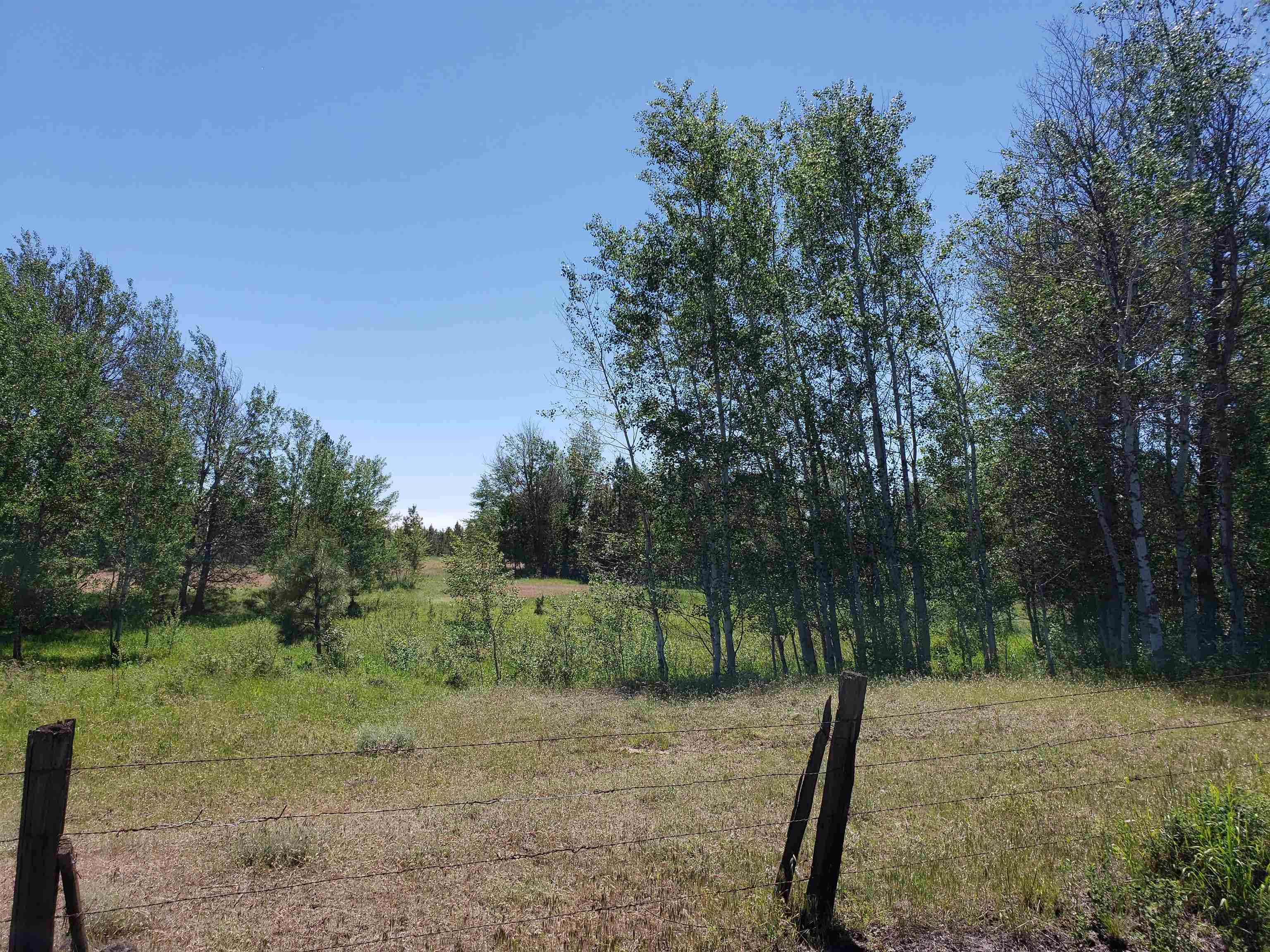 Xxxx West Baker Road, Unit LOT F Cheney, WA 99004 - Photo 3 of 4