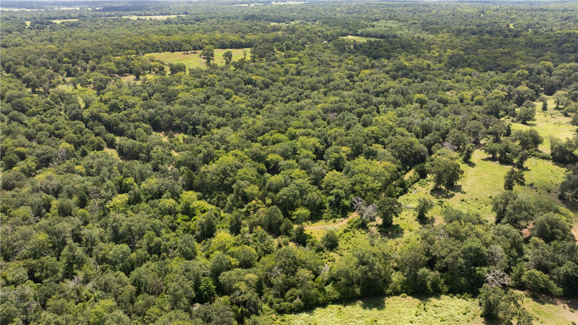4074 Bucksnort Road Franklin, TX 77856 - Photo 26 of 41