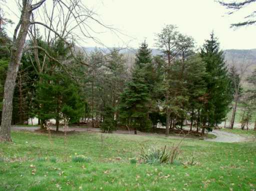 302 Service Creek Road Aliquippa, PA 15001 - Photo 6 of 8 View.