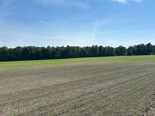 425 Biddle Road Dover, NC 28526 - Photo 21 of 52 IMG_0978