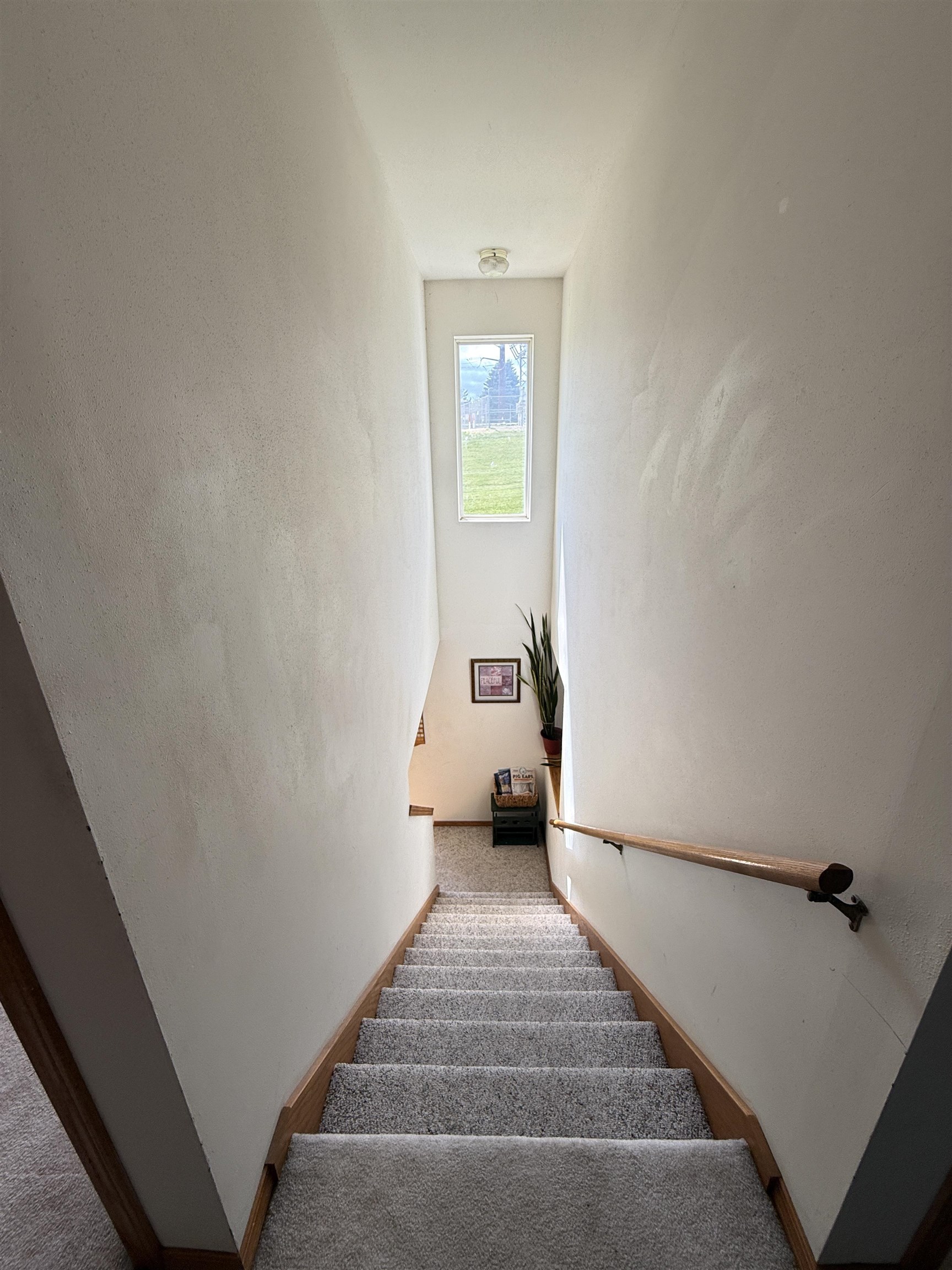 809-811 Vista Ridge Drive Mount Horeb, WI 53572 - Photo 63 of 76