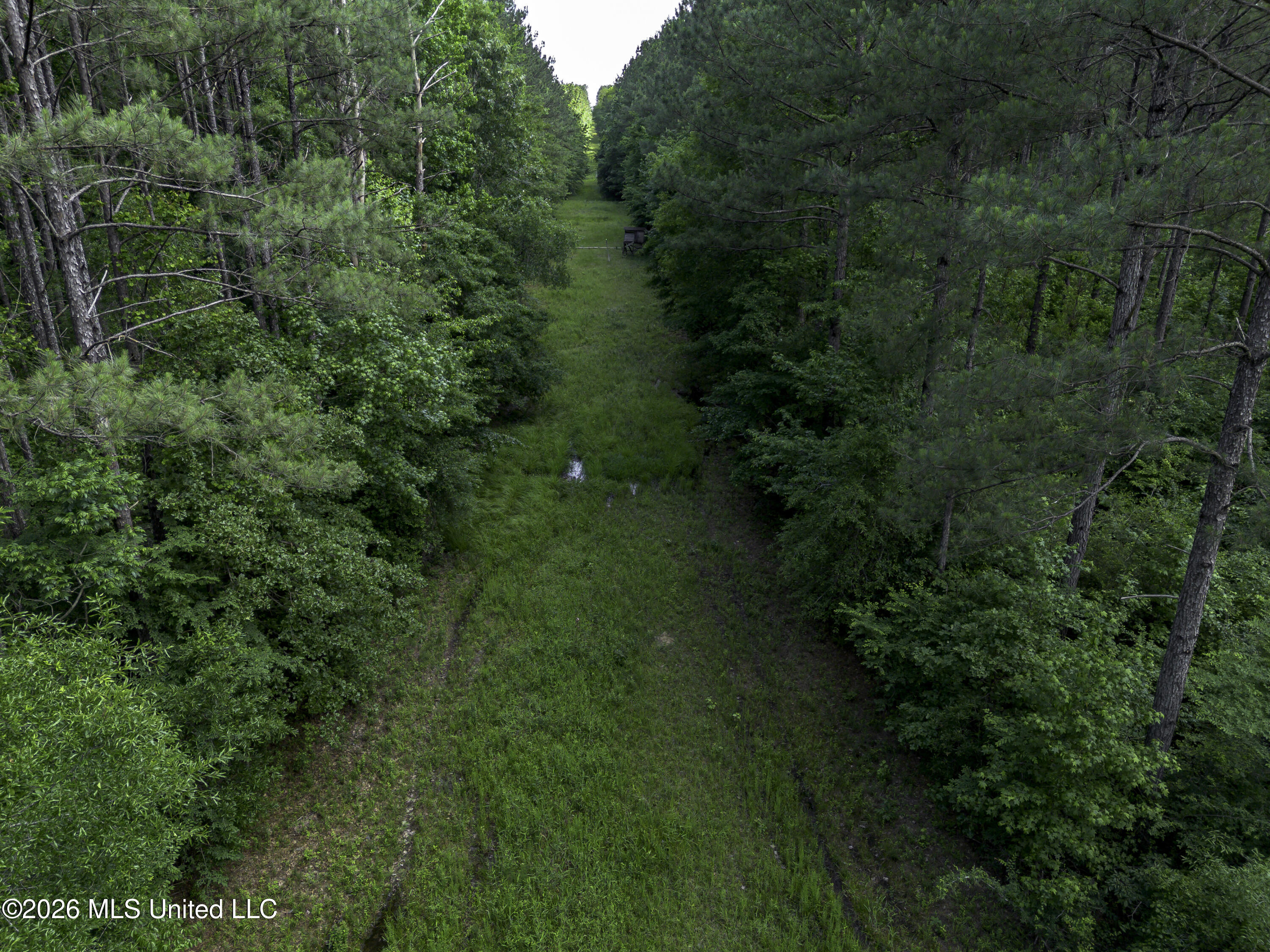 0 Steel Creek Road Georgetown, MS 39078 - Photo 2 of 12 3000-3043 Steel Creek Rd-0268