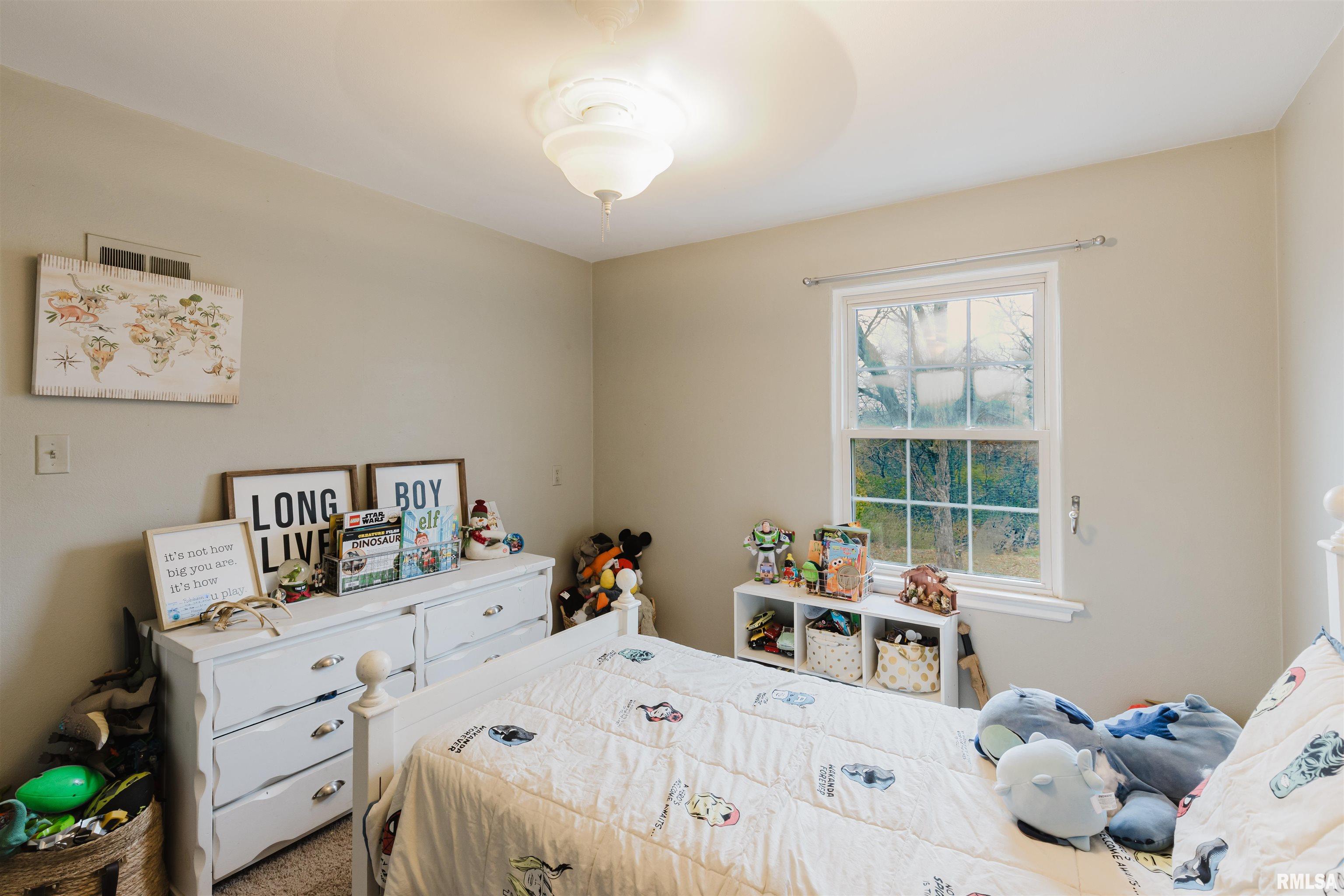 1819 Pace Avenue Mount Vernon, IL 62864 - Photo 27 of 49