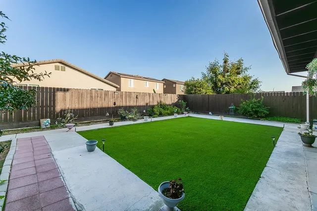 a view of a backyard with potted plants and a large tree