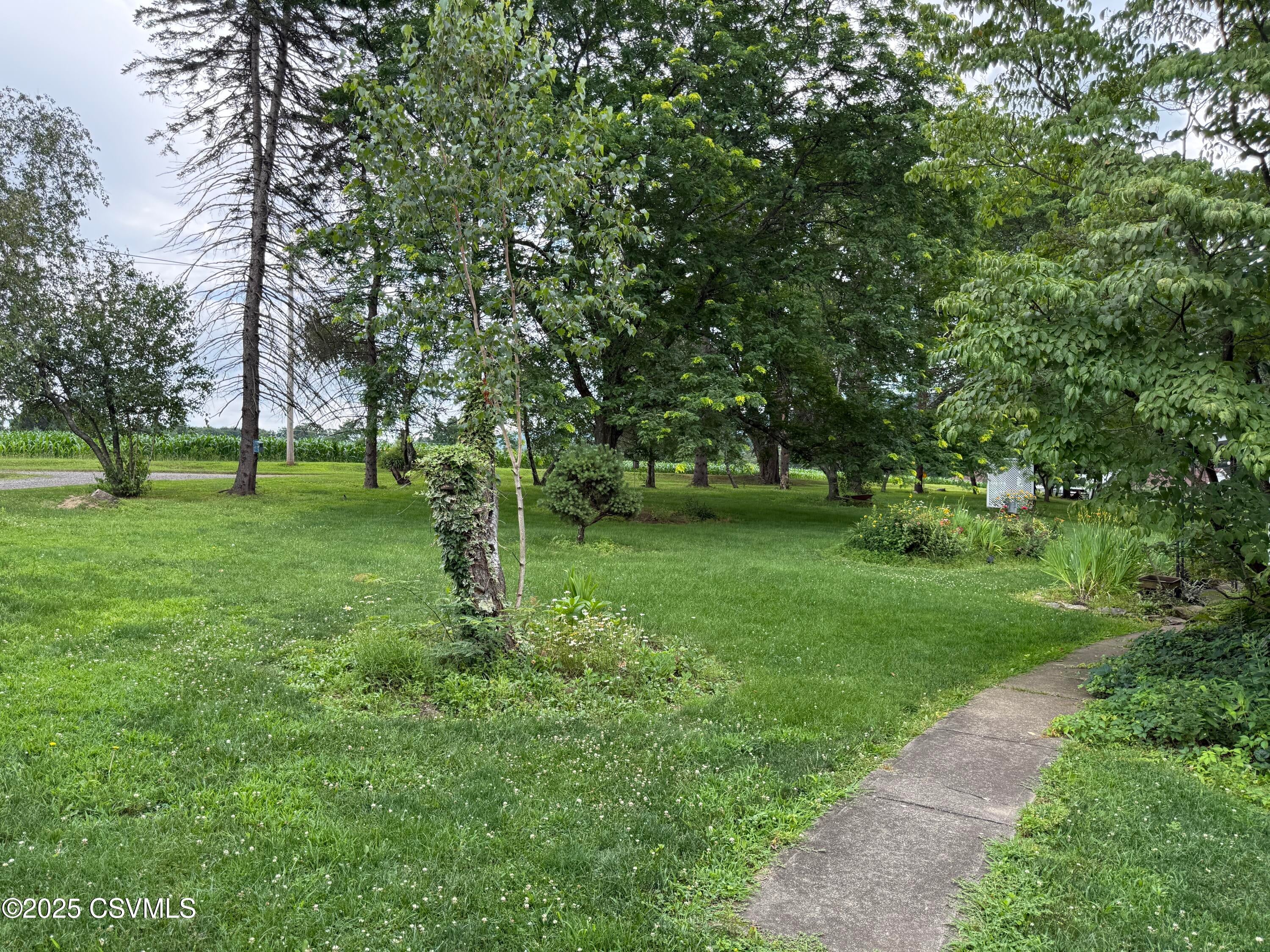 25 Wolfe Road Nescopeck, PA 18635 - Photo 9 of 26 View from sidewalk