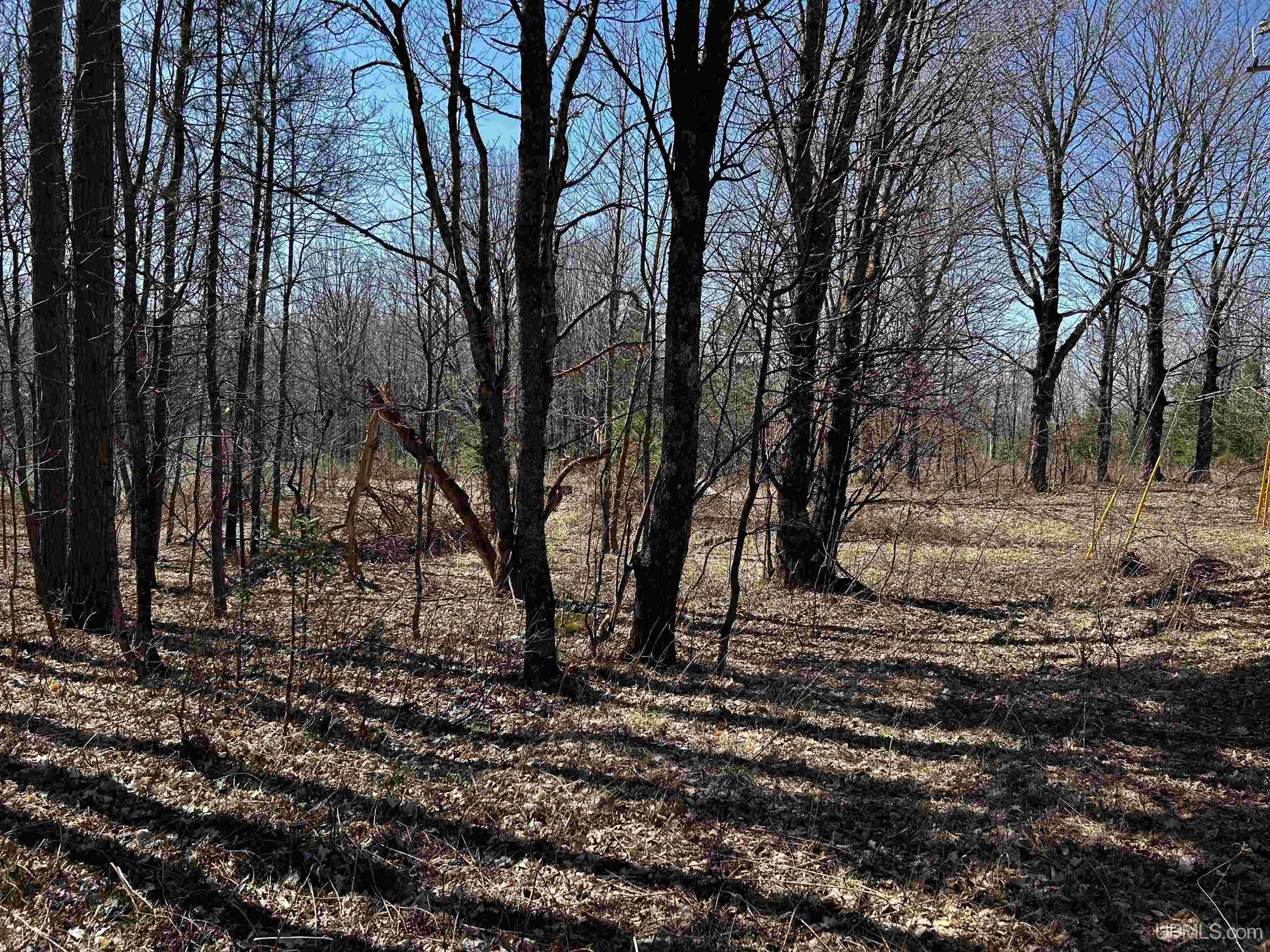 Tbd Tbd Burma Parcel B Road Bessemer, MI 49911 - Photo 10 of 10