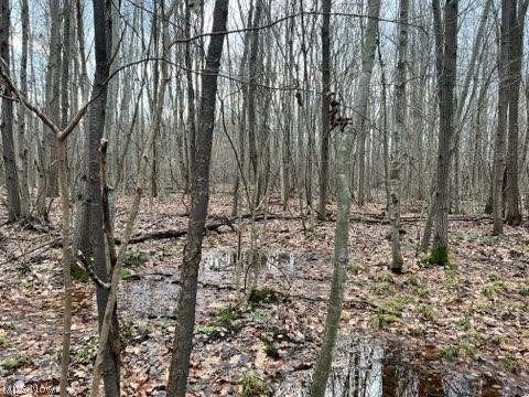 1291 Old Kyle Road Dorset, OH 44032 - Photo 6 of 21