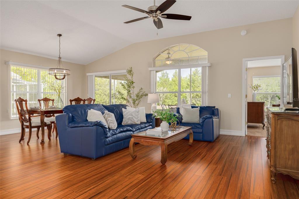 1701 Westerham Loop Trinity, FL 34655 - Photo 23 of 40 a living room with fireplace furniture and a wooden floor