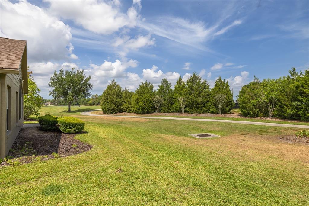 1701 Westerham Loop Trinity, FL 34655 - Photo 3 of 40 a view of yard with swimming pool and green space