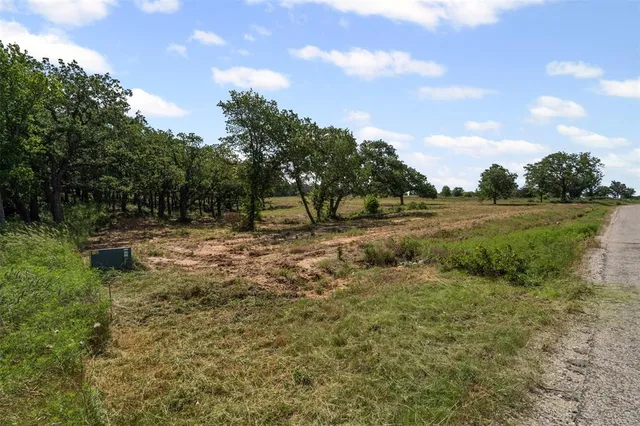 a view of outdoor space with garden and trees