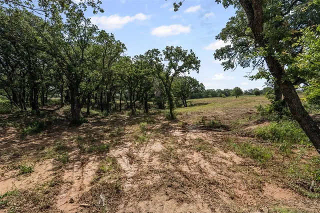 a view of a field with trees in the background