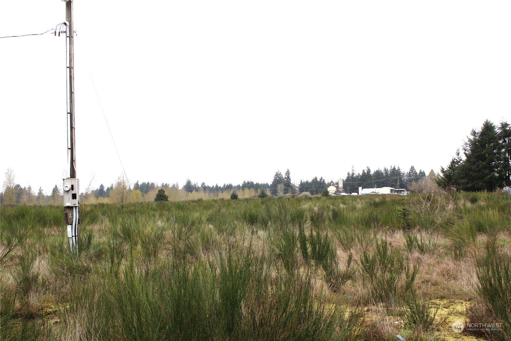 6640 196th Avenue Southwest Rochester, WA 98579 - Photo 7 of 10