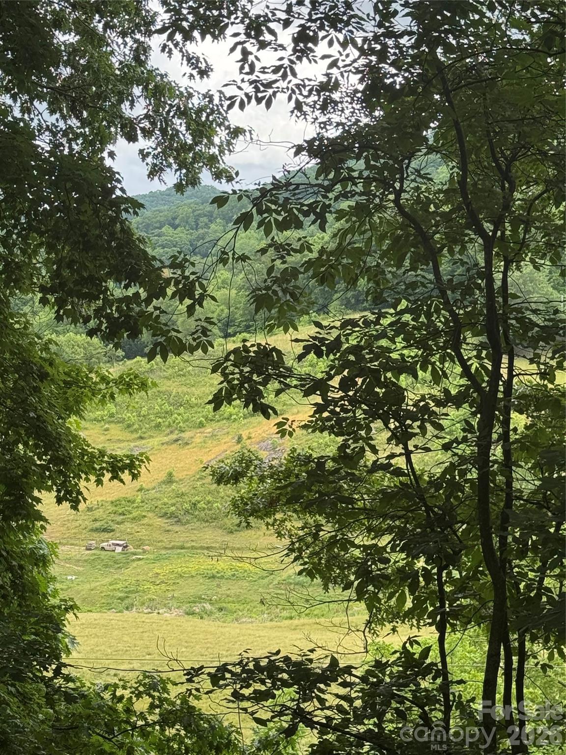 115 Knoll Ridge Waynesville, NC 28785 - Photo 3 of 35 a view of a field with an ocean view