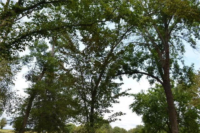 $130,000 | 319-th West 319-th W Old Kc Road Street, Paola, KS 66071