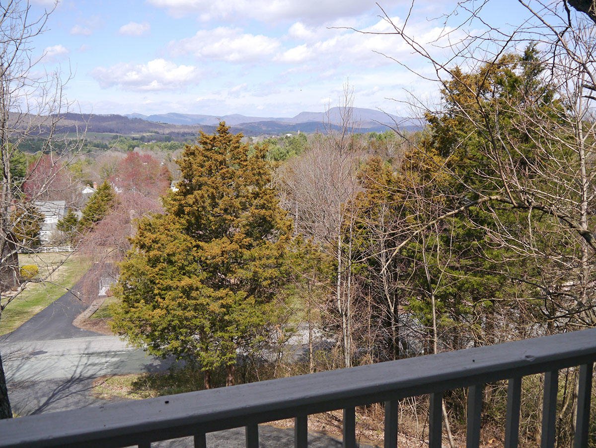 25 Grey Dove Road Lexington, VA 24450 - Photo 2 of 40 Grey Dove view