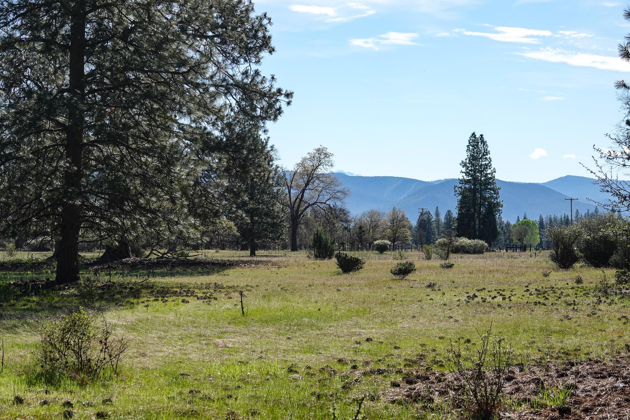 1509 North Kidder Creek Road Greenview, CA 96037 - Photo 35 of 45 Gallery Image 35