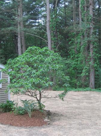 3 Brown Road Oxford, MA 01540 - Photo 20 of 23 Gallery Image 20