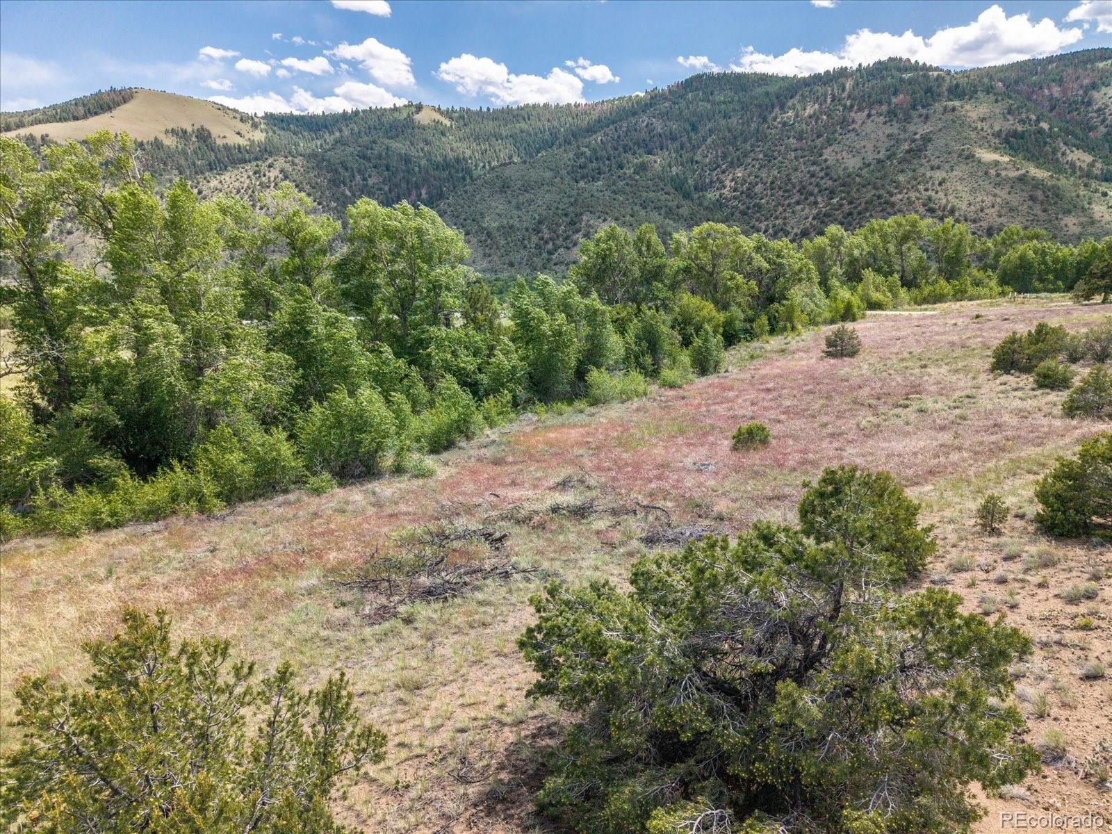 1 Rocky Mountain Road Salida, CO 81201 - Photo 11 of 25 a view of a yard with a tree