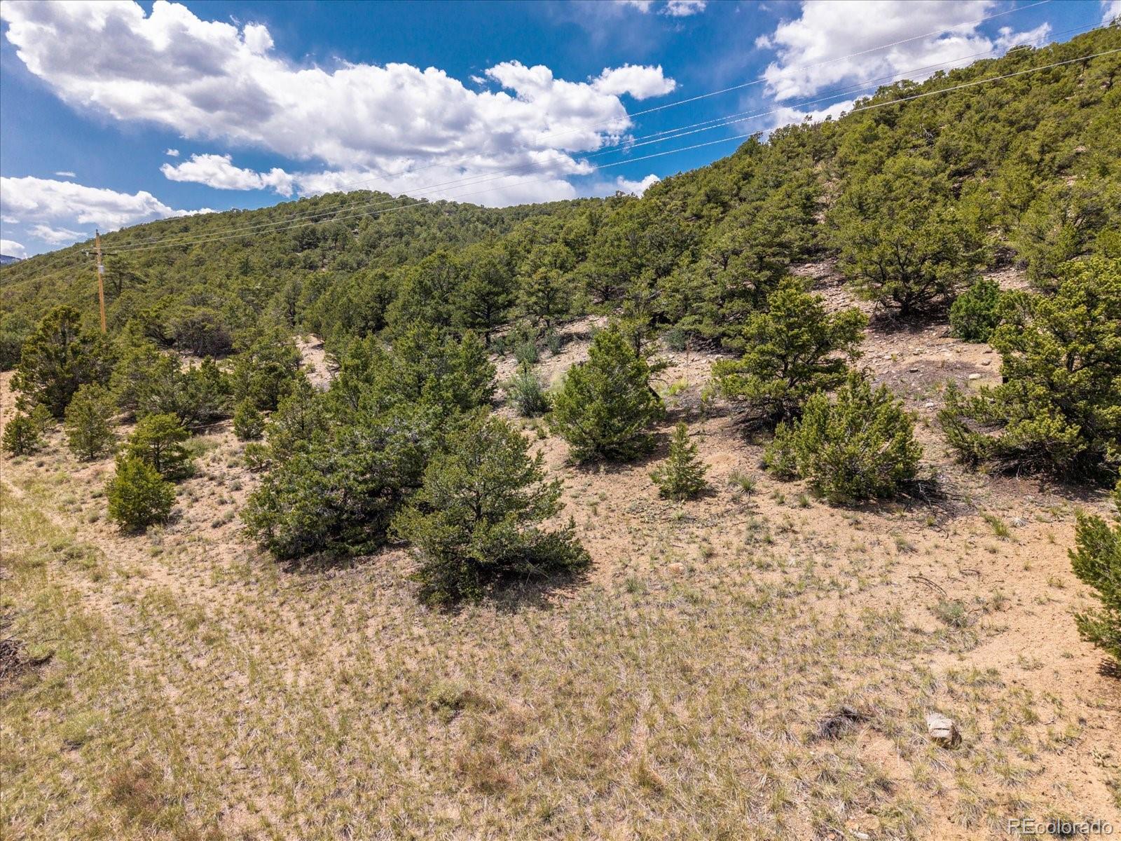 1 Rocky Mountain Road Salida, CO 81201 - Photo 14 of 25 a view of a bunch of trees and bushes