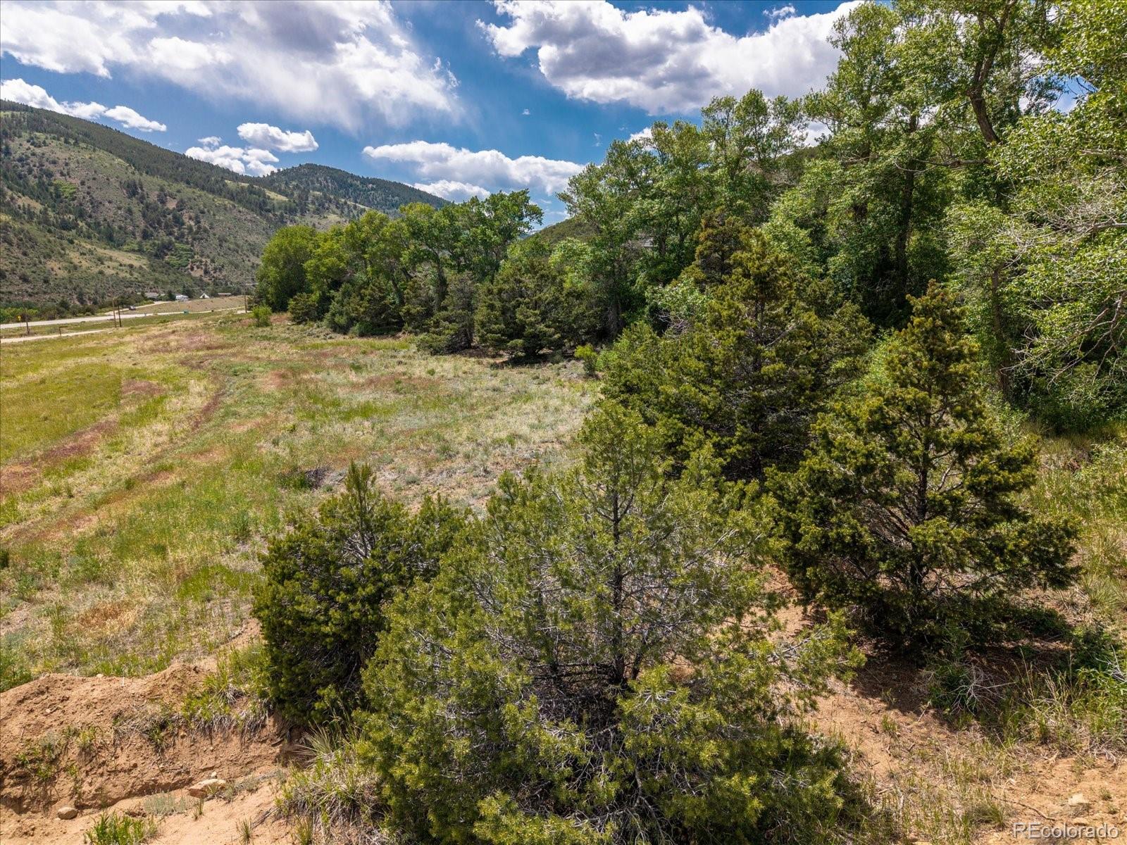 1 Rocky Mountain Road Salida, CO 81201 - Photo 15 of 25 a view of a yard with a tree