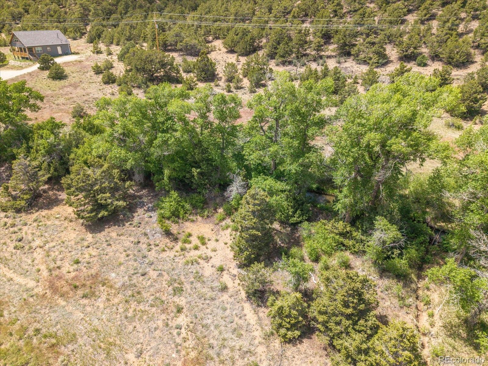 1 Rocky Mountain Road Salida, CO 81201 - Photo 16 of 25 a view of a yard with a tree
