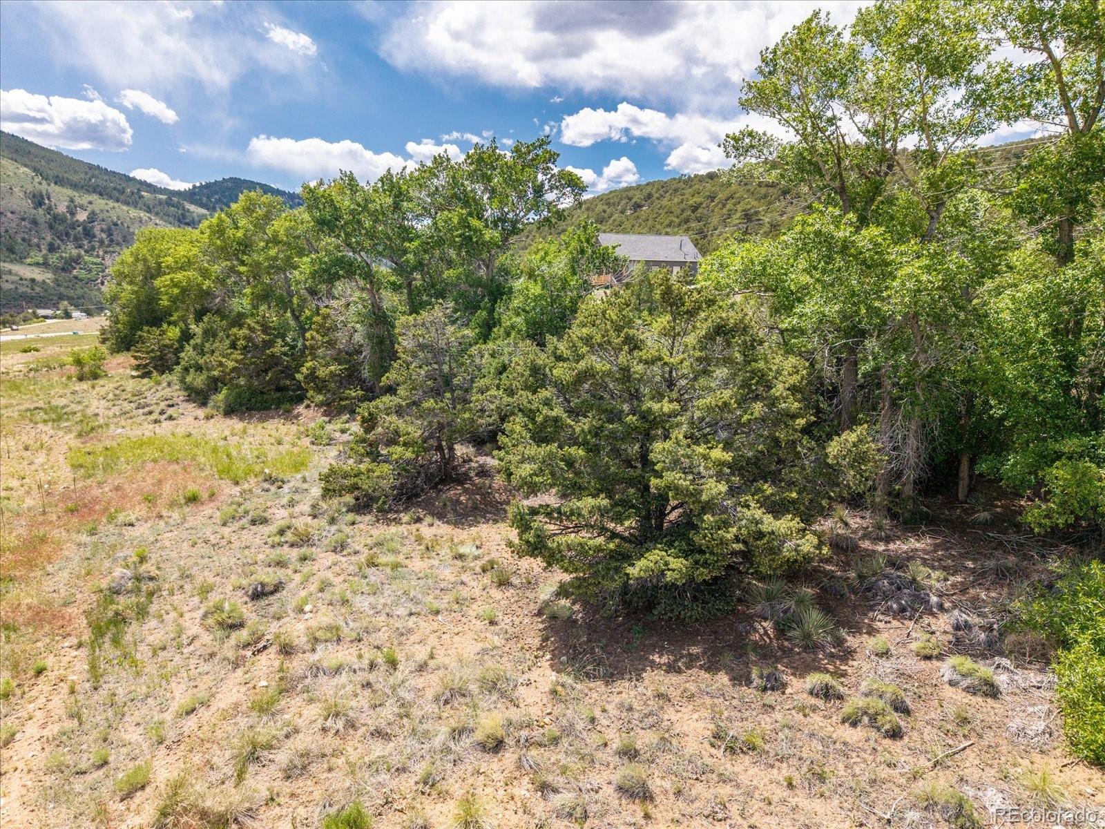 1 Rocky Mountain Road Salida, CO 81201 - Photo 17 of 25 a view of a yard with plants
