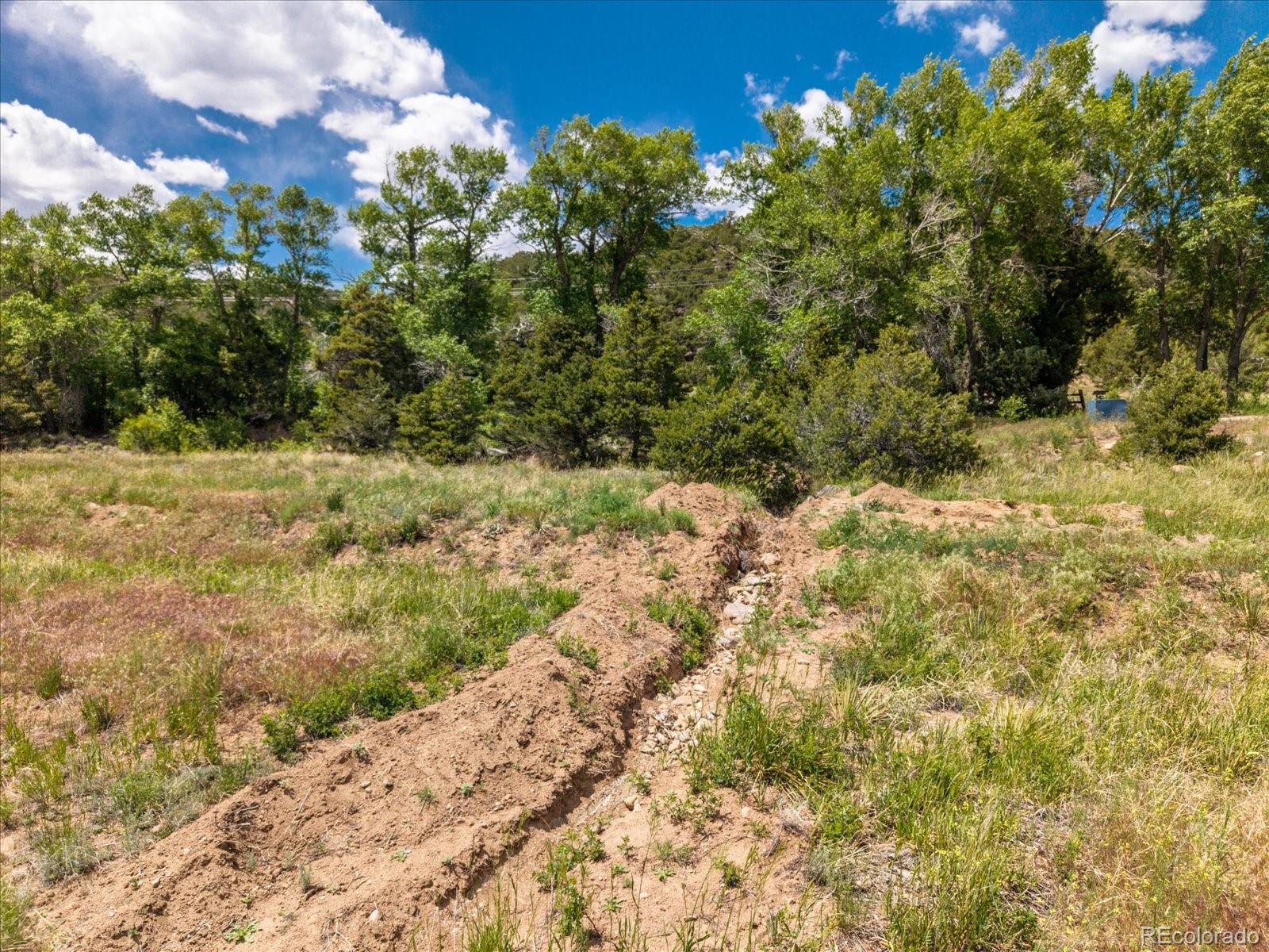 1 Rocky Mountain Road Salida, CO 81201 - Photo 19 of 25 a view of a yard with yellow plants and tree in the background