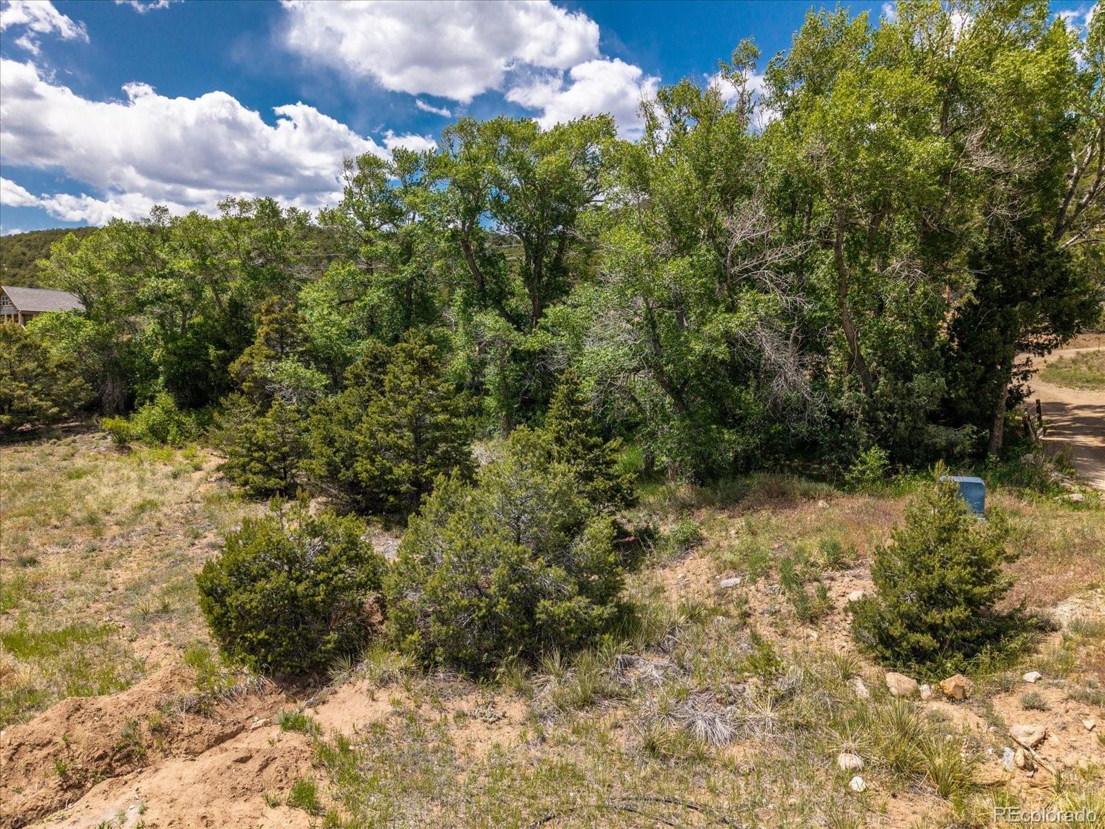 1 Rocky Mountain Road Salida, CO 81201 - Photo 20 of 25 a view of a bunch of flowers in a yard