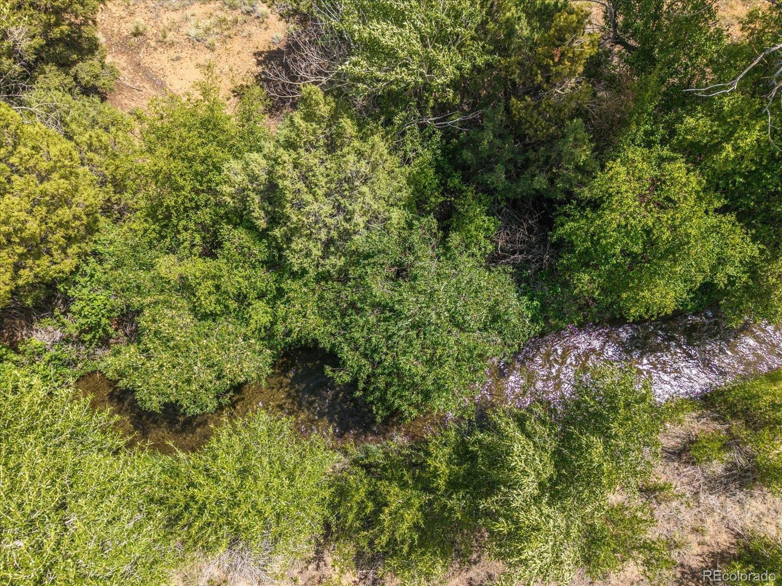 1 Rocky Mountain Road Salida, CO 81201 - Photo 21 of 25 a view of a lush green forest