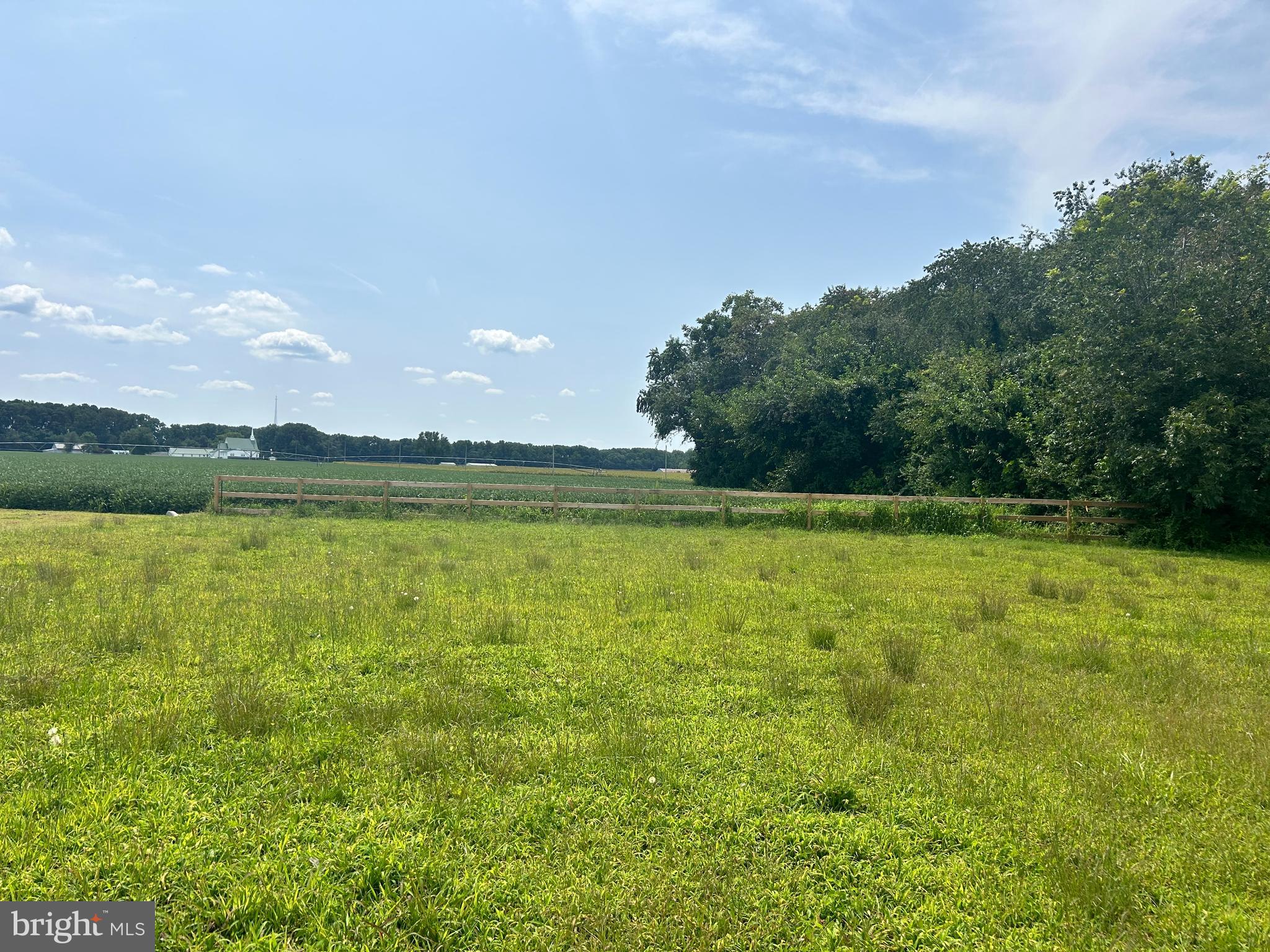 Lot 2 Gordy Road Laurel, DE 19956 - Photo 2 of 6 view of the rear property line