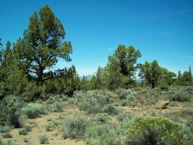 18299 Southwest Mount Adams Loop Powell Butte, OR 97753 - Photo 12 of 14 Additional Photo