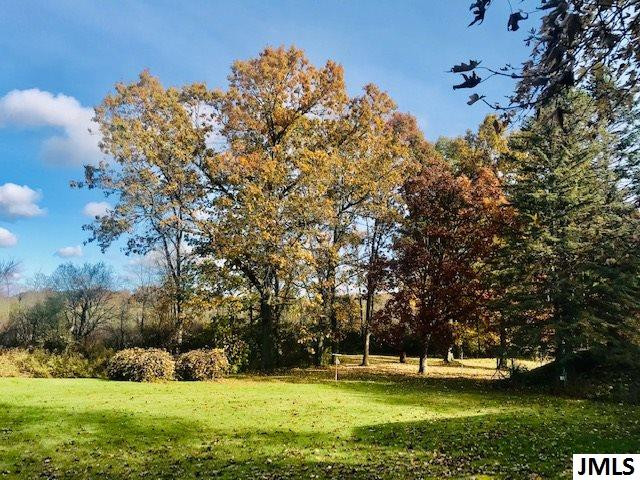 7250 Smith Road Grass Lake, MI 49240 - Photo 5 of 22 Photo 5