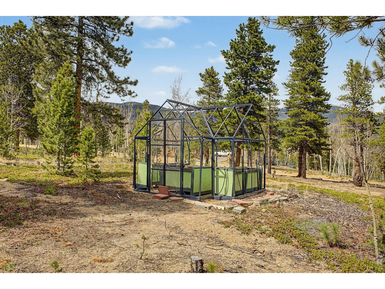 76 Highlands Drive Bailey, CO 80421 - Photo 46 of 49 a view of a backyard of the house