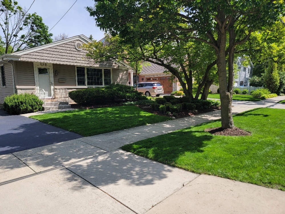 229 Fuller Road Hinsdale, IL 60521 - Photo 2 of 20