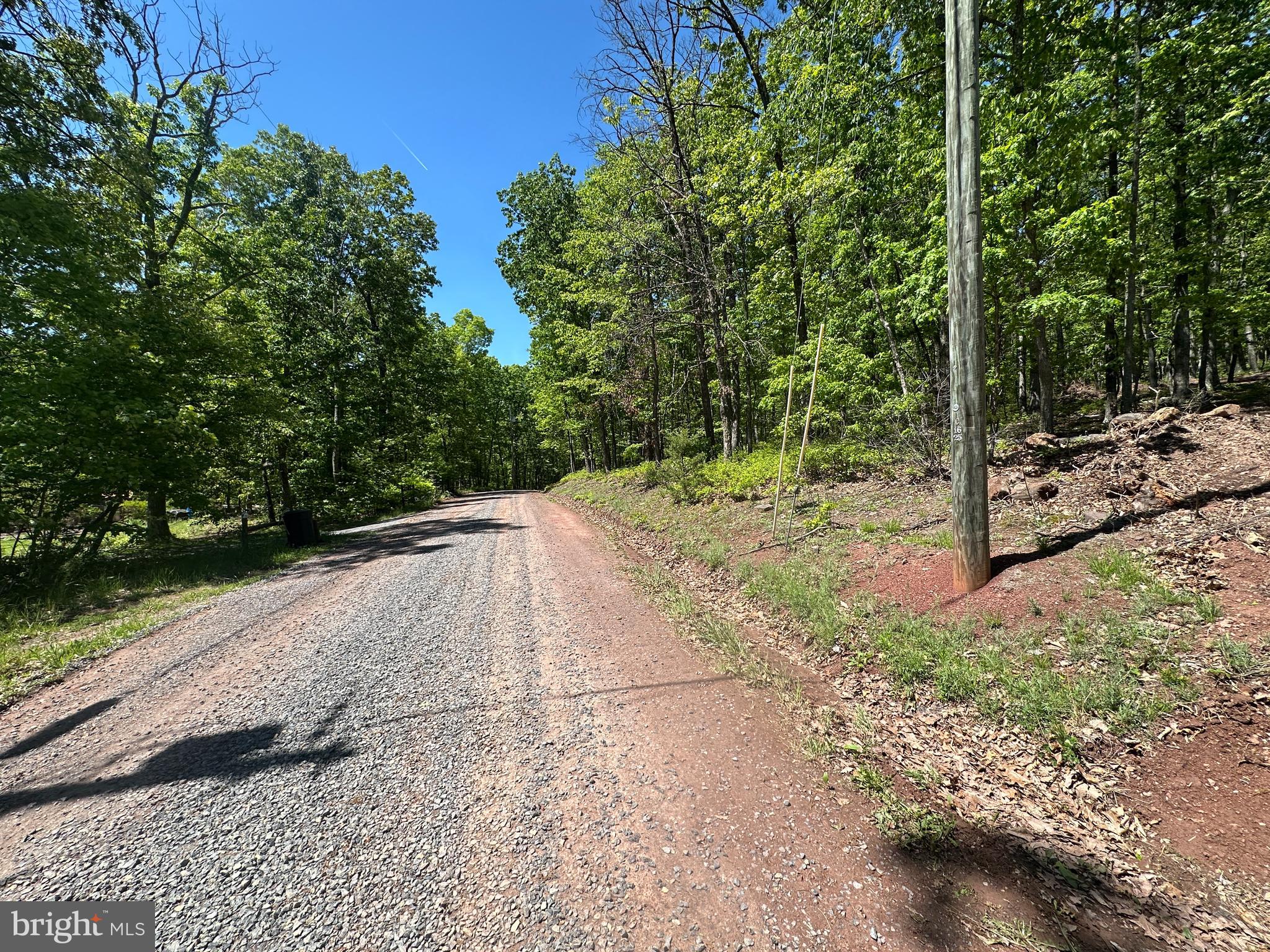 181 Deer Run Road Baker, WV 26801 - Photo 14 of 71 a view of a yard with plants and trees