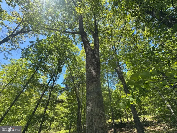 $450,000 | 181 Deer Run Road, Baker, WV 26801