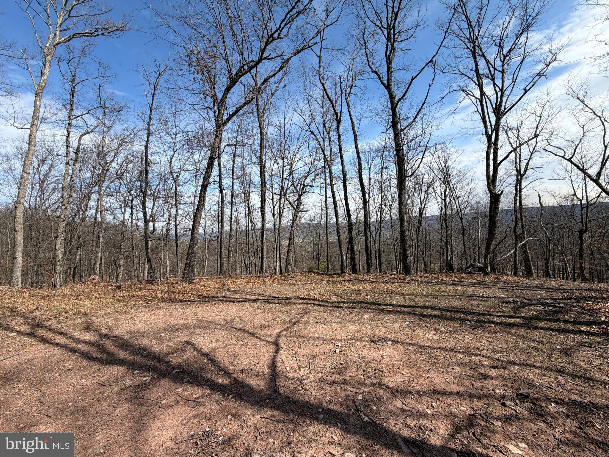 181 Deer Run Road Baker, WV 26801 - Photo 21 of 71