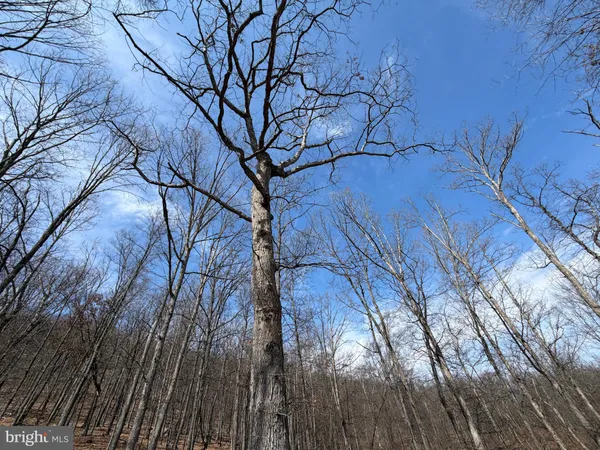 $450,000 | 181 Deer Run Road, Baker, WV 26801