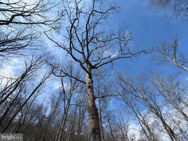 $450,000 | 181 Deer Run Road, Baker, WV 26801