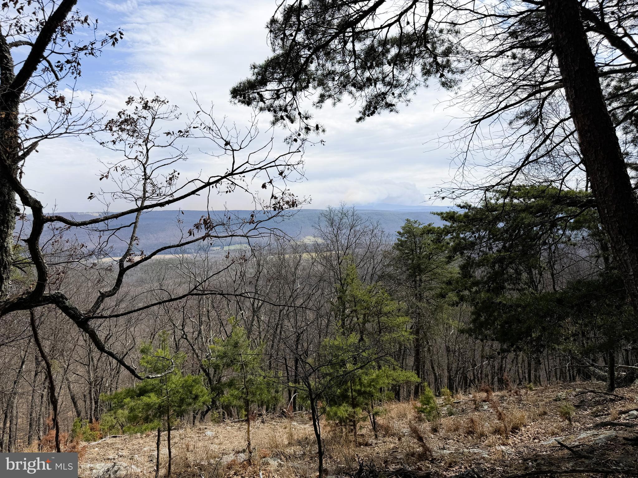 181 Deer Run Road Baker, WV 26801 - Photo 25 of 71