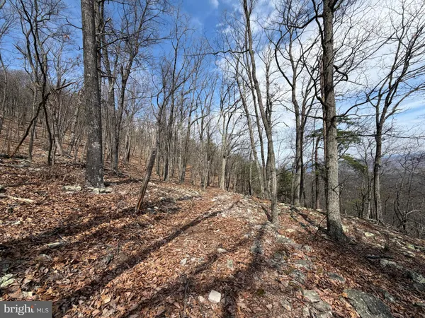 $450,000 | 181 Deer Run Road, Baker, WV 26801