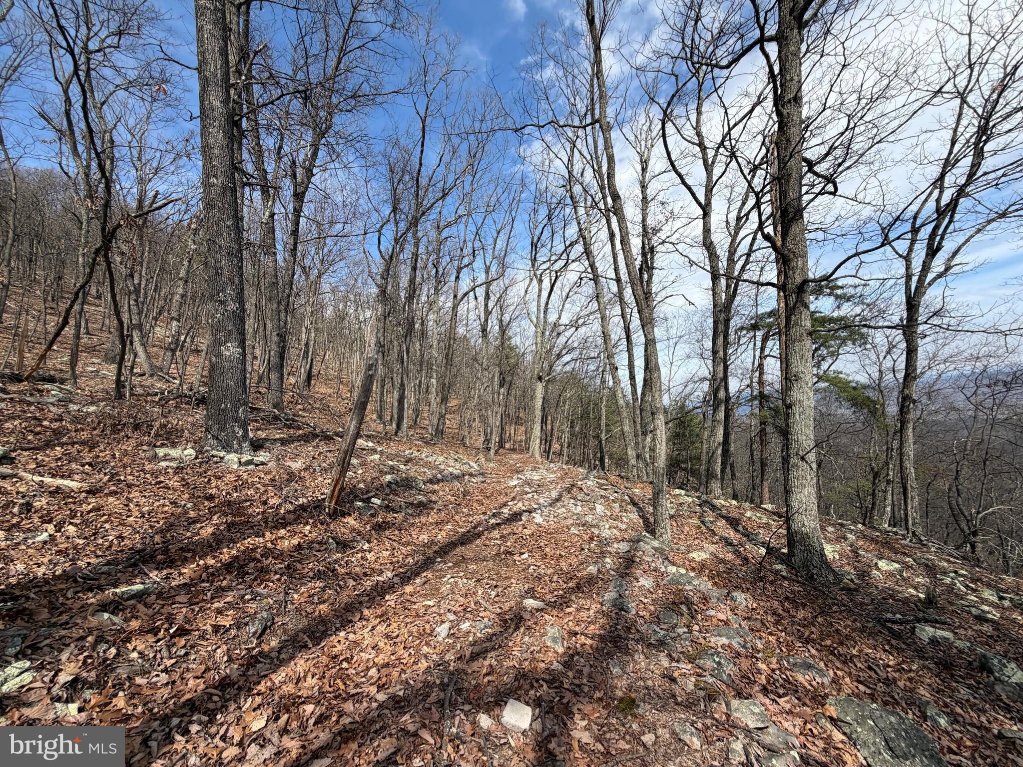 181 Deer Run Road Baker, WV 26801 - Photo 27 of 71 a backyard of a house with lots of green space