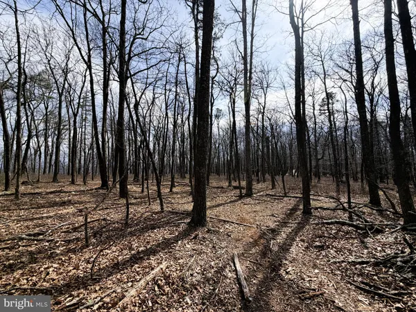 $450,000 | 181 Deer Run Road, Baker, WV 26801