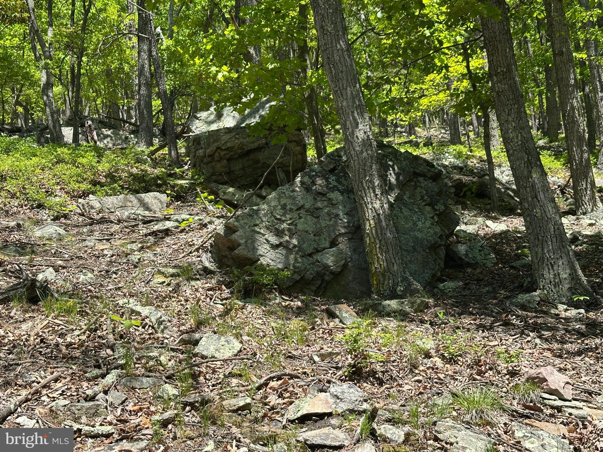 181 Deer Run Road Baker, WV 26801 - Photo 34 of 71 a view of outdoor space and a yard