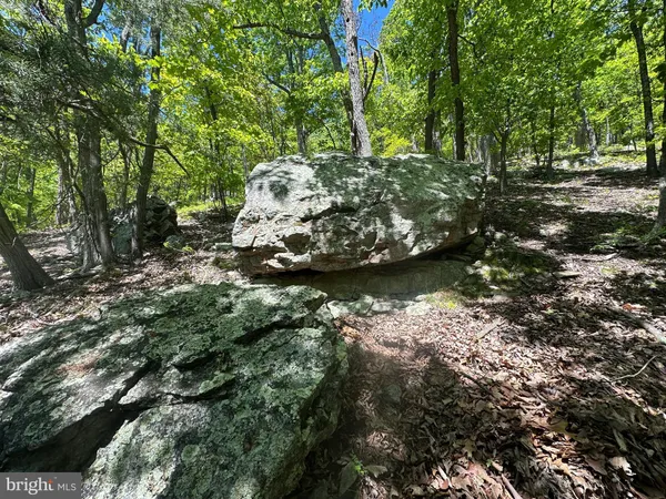 $450,000 | 181 Deer Run Road, Baker, WV 26801