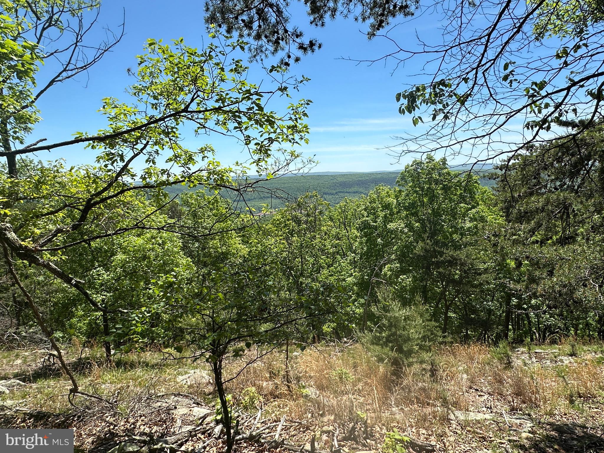 181 Deer Run Road Baker, WV 26801 - Photo 36 of 71