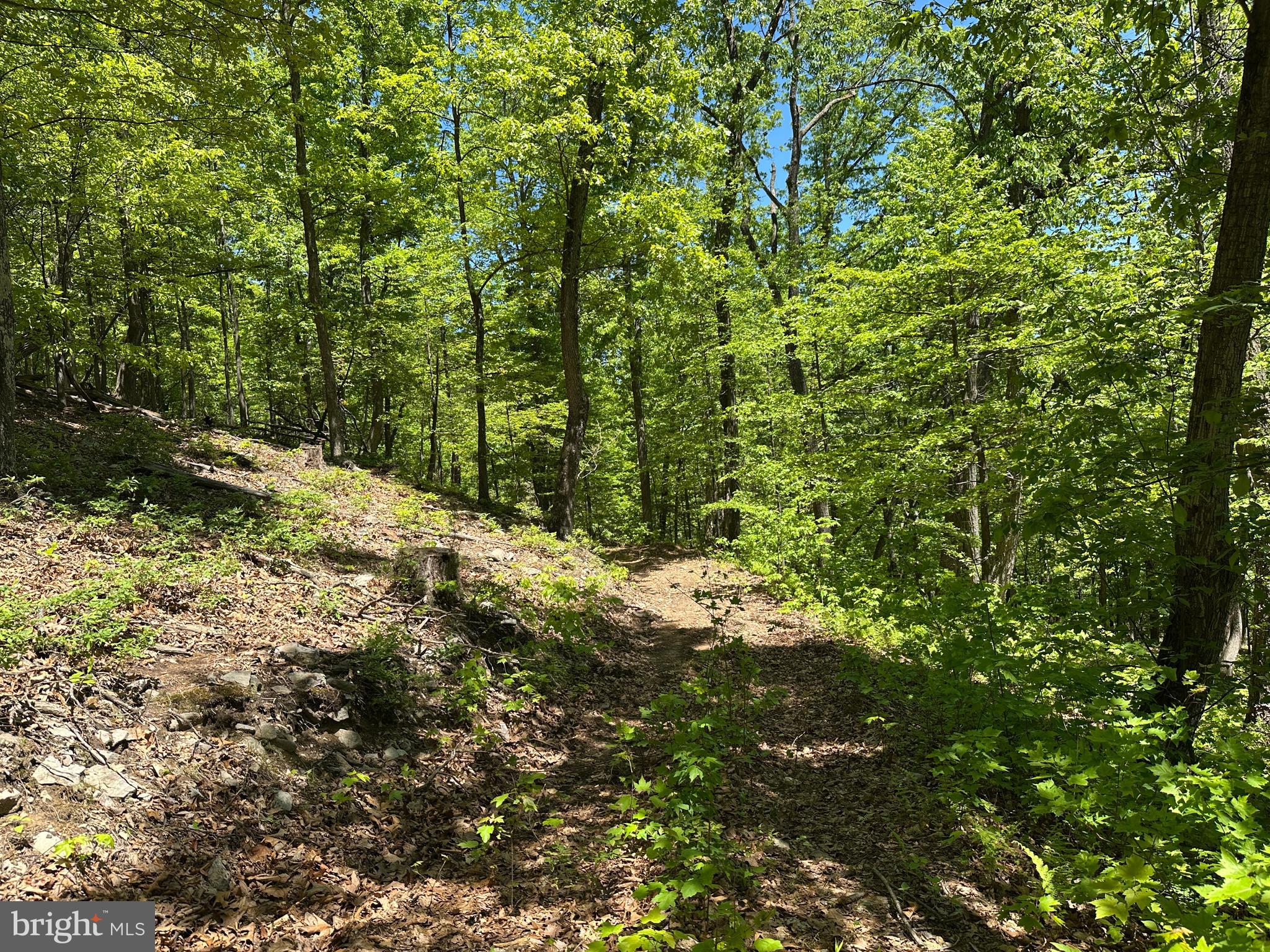 181 Deer Run Road Baker, WV 26801 - Photo 41 of 71