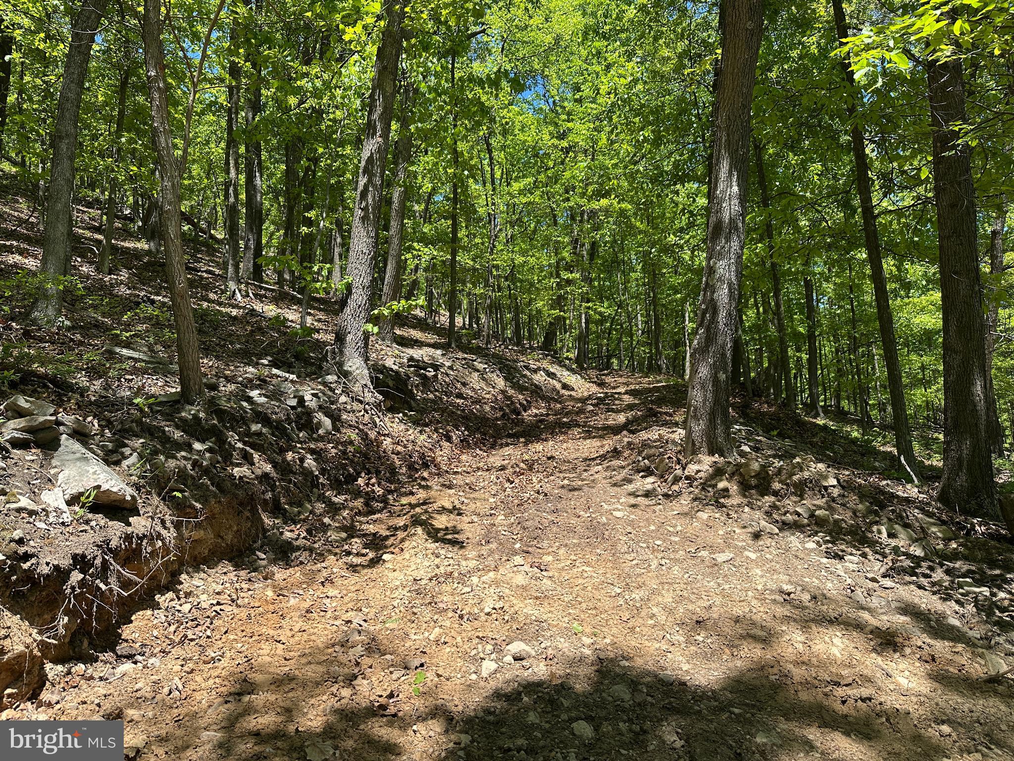181 Deer Run Road Baker, WV 26801 - Photo 42 of 71 a view of a forest with trees